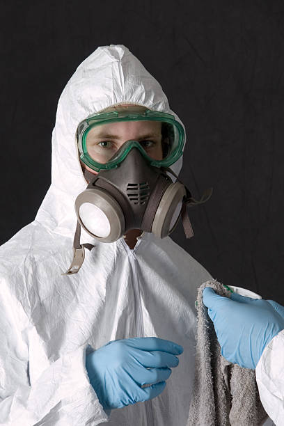 Best Water Damage & Mold Remediation  in Edgewood, OH